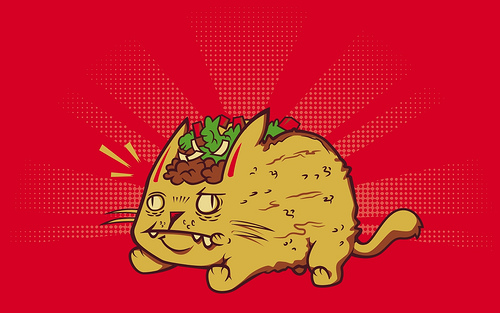 Taco Cat Wallpaper Version Photo Sharing