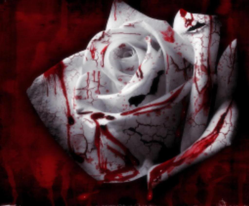 Blood Rose Hannah Wallpaper