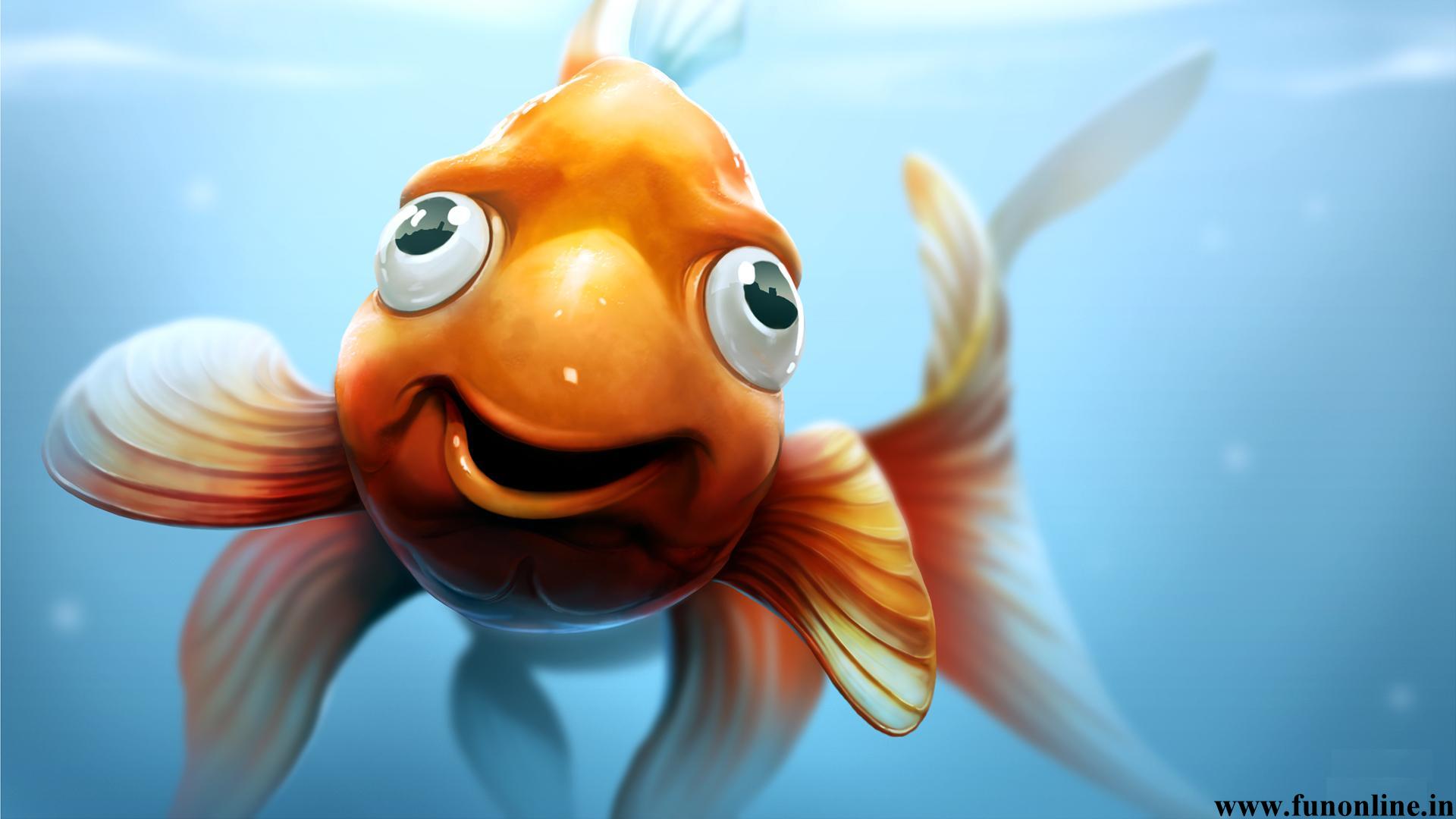 268584 Koi Aquarium Fish Goldfish Orange Huawei Enjoy Z 5G full hd  wallpaper 1080x2400  Rare Gallery HD Wallpapers