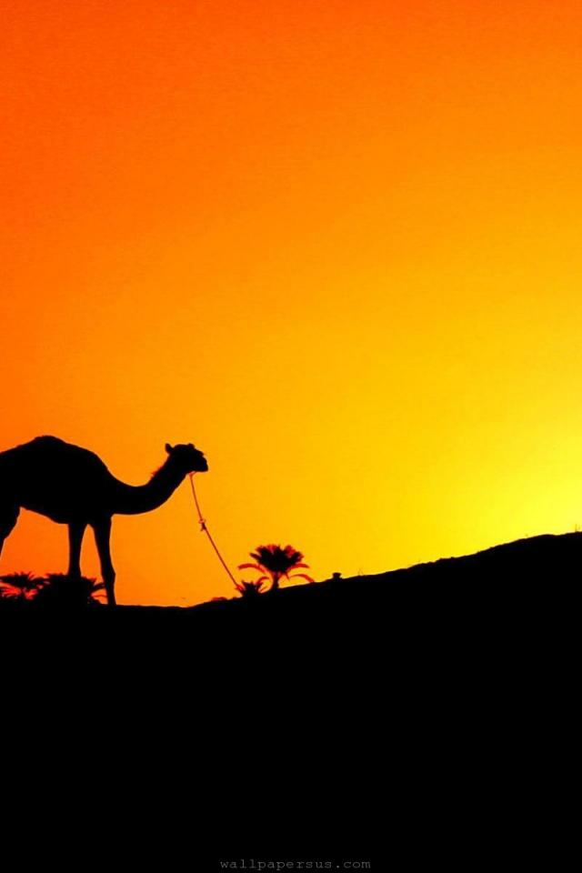 Sunset Egypt Wallpaper Top Travel Lists iPhone Gallery