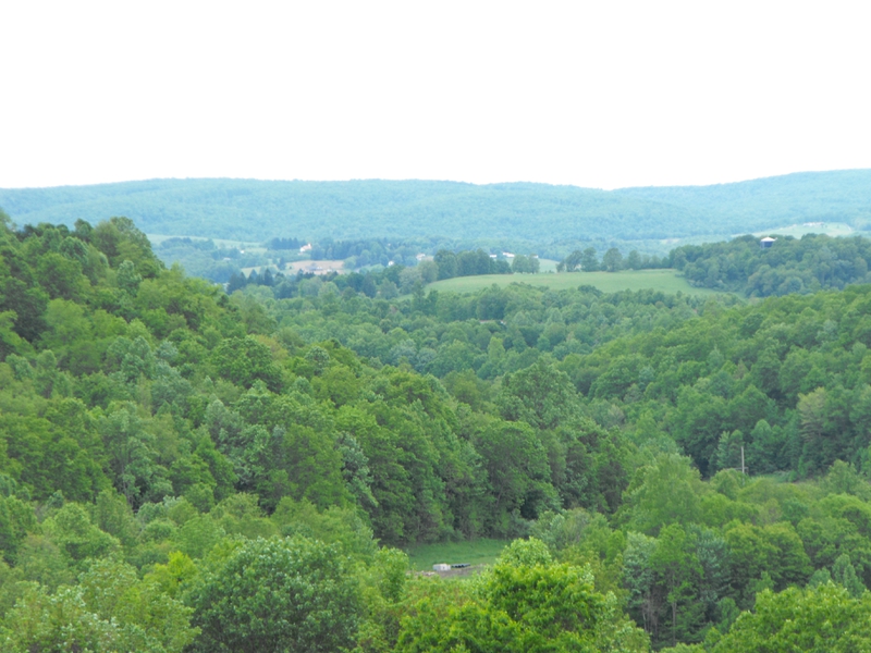 West Virginia Mountains Nature HD Wallpaper