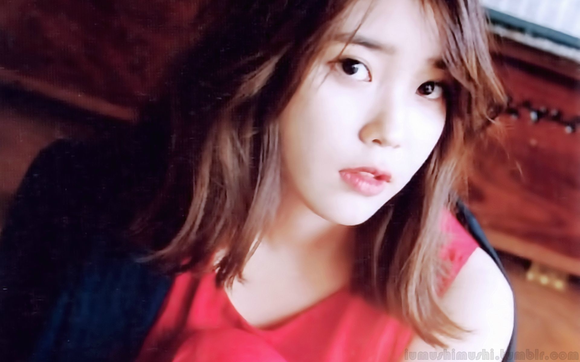 Iu Wallpaper For Windows