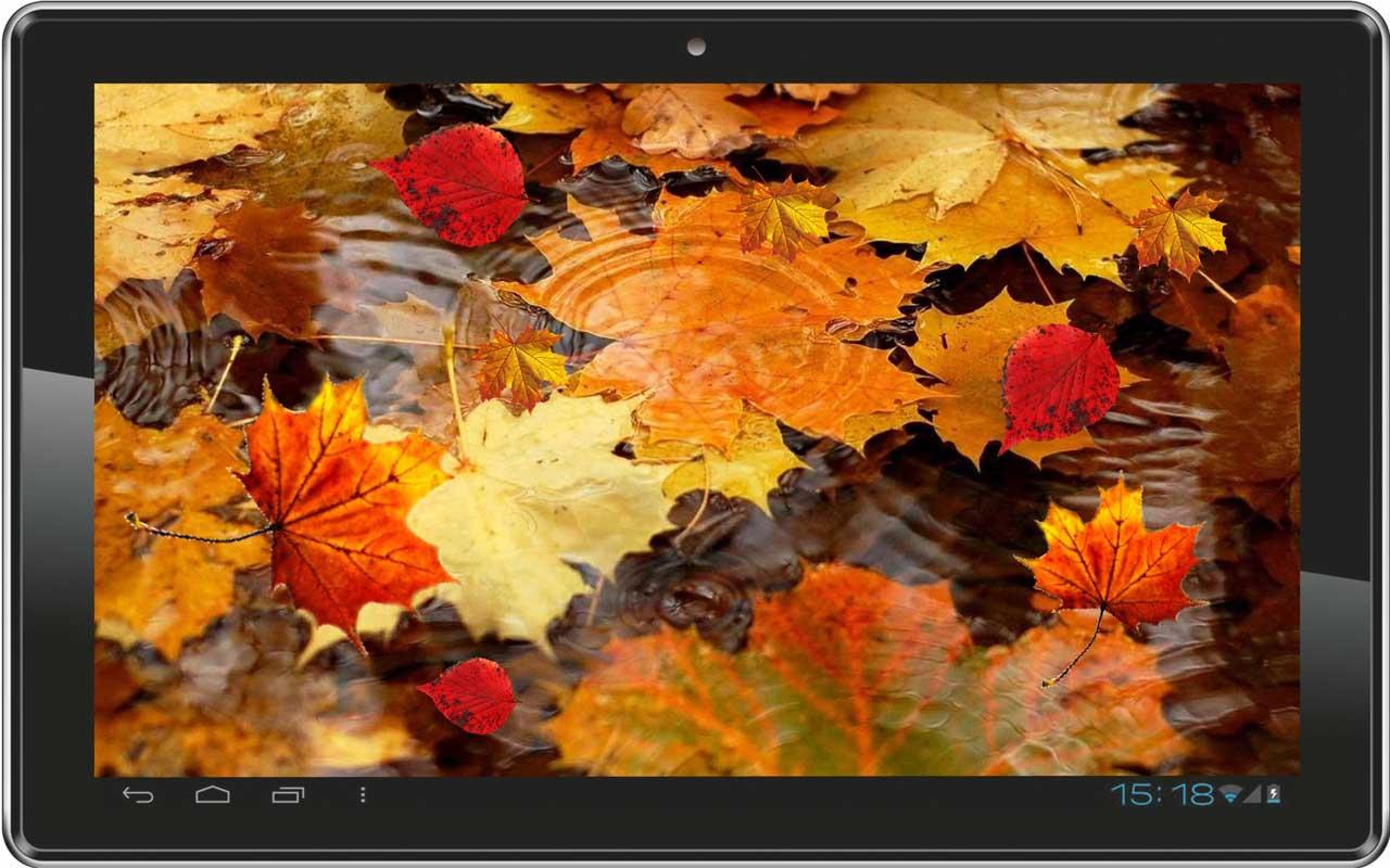 Autumn Rain Live Wallpaper Android Apps On Google Play
