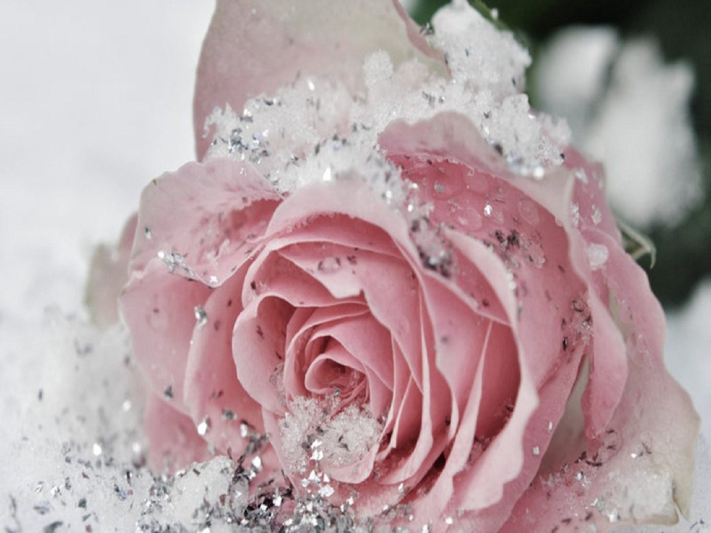 Cute Pretty Flowers Wallpaper Glitter Pink Roses