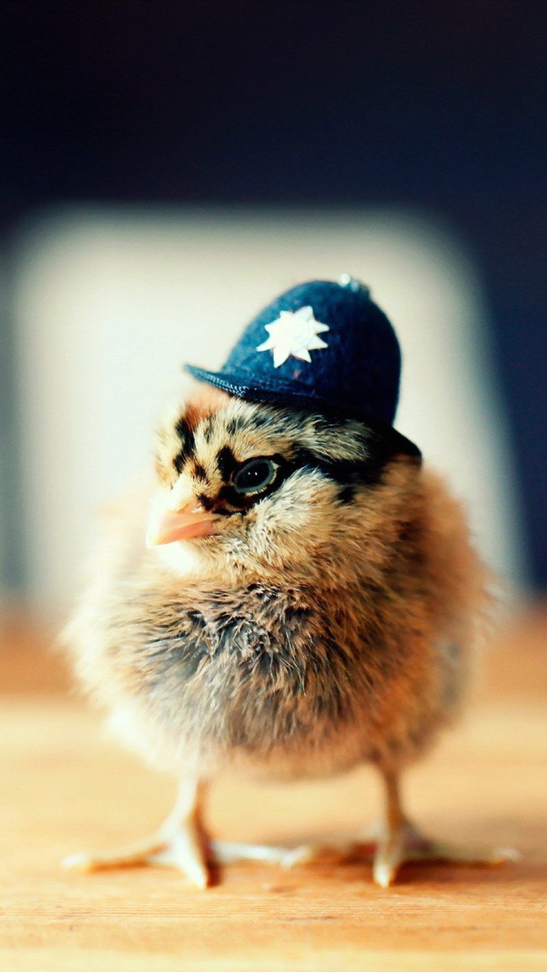 Cool Animal iPhone Wallpaper