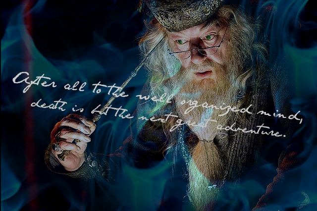 Albus Dumbledore Wallpaper By Bizzyb1008