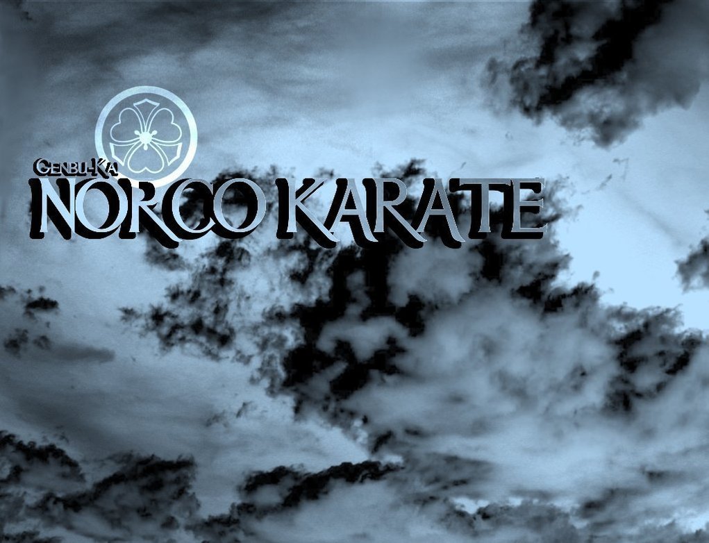 Norco Karate Wallpapers by Punkvmpr on