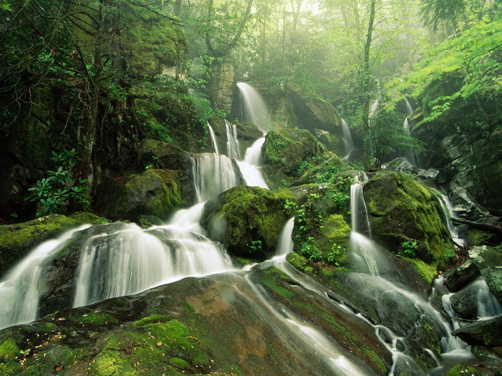 Tropical Waterfalls Desktop Wallpaper Pictures