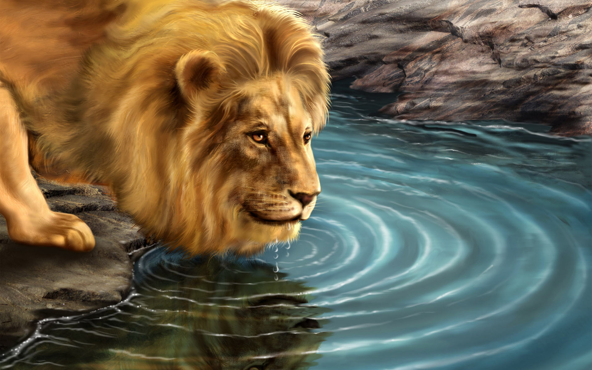 Lion Wallpaper Which Is Under The