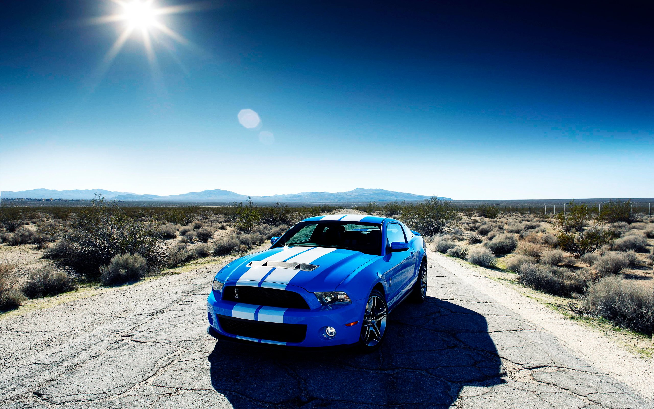 Ford Shelby GT500 Car Wallpapers HD Wallpapers