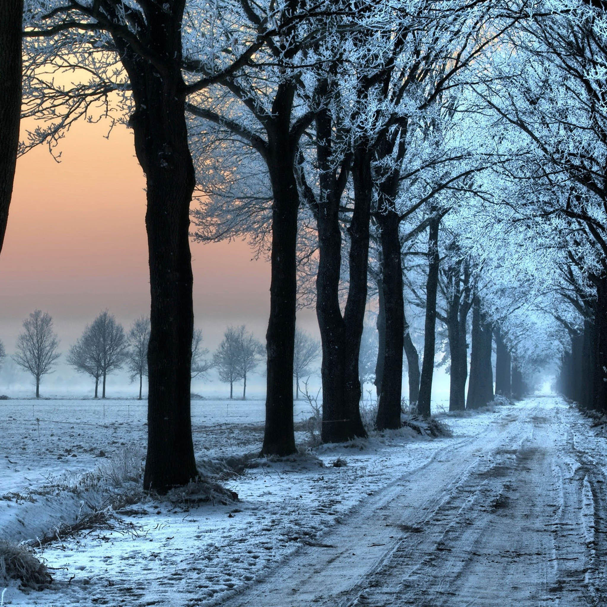 iPad Wallpaper Winter Snow Scenes Id06 Natural Scenery New