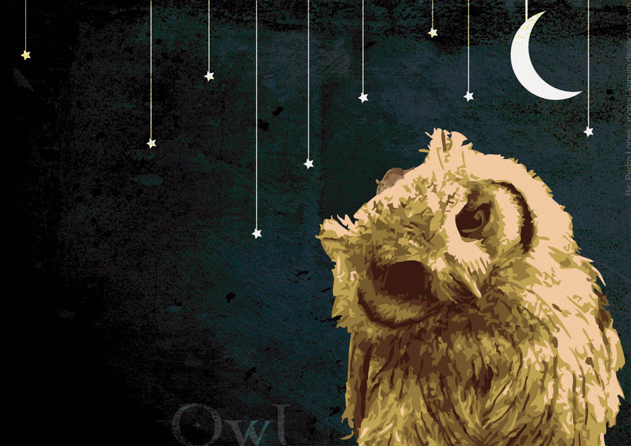 Cool Owl Background Background By Monad Korium
