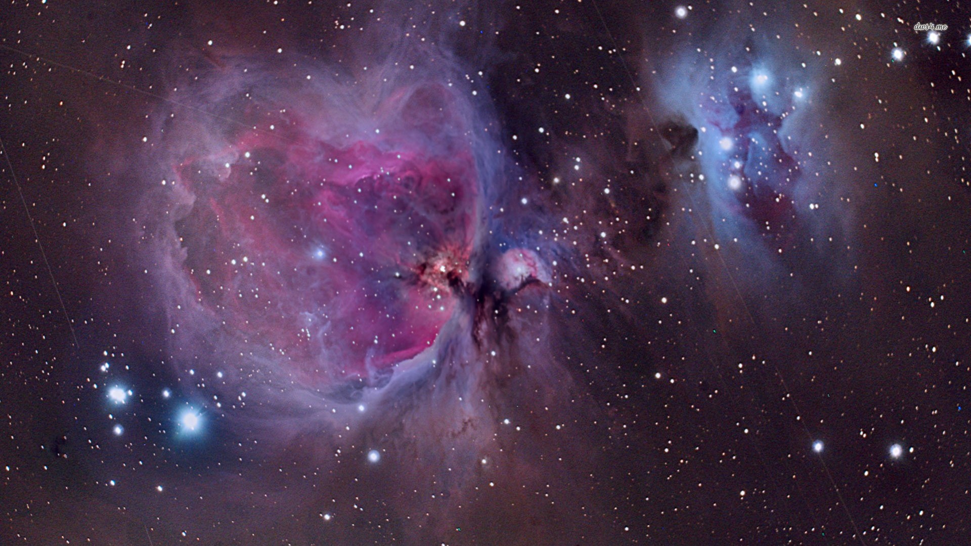 Orion Nebula Wallpaper Space