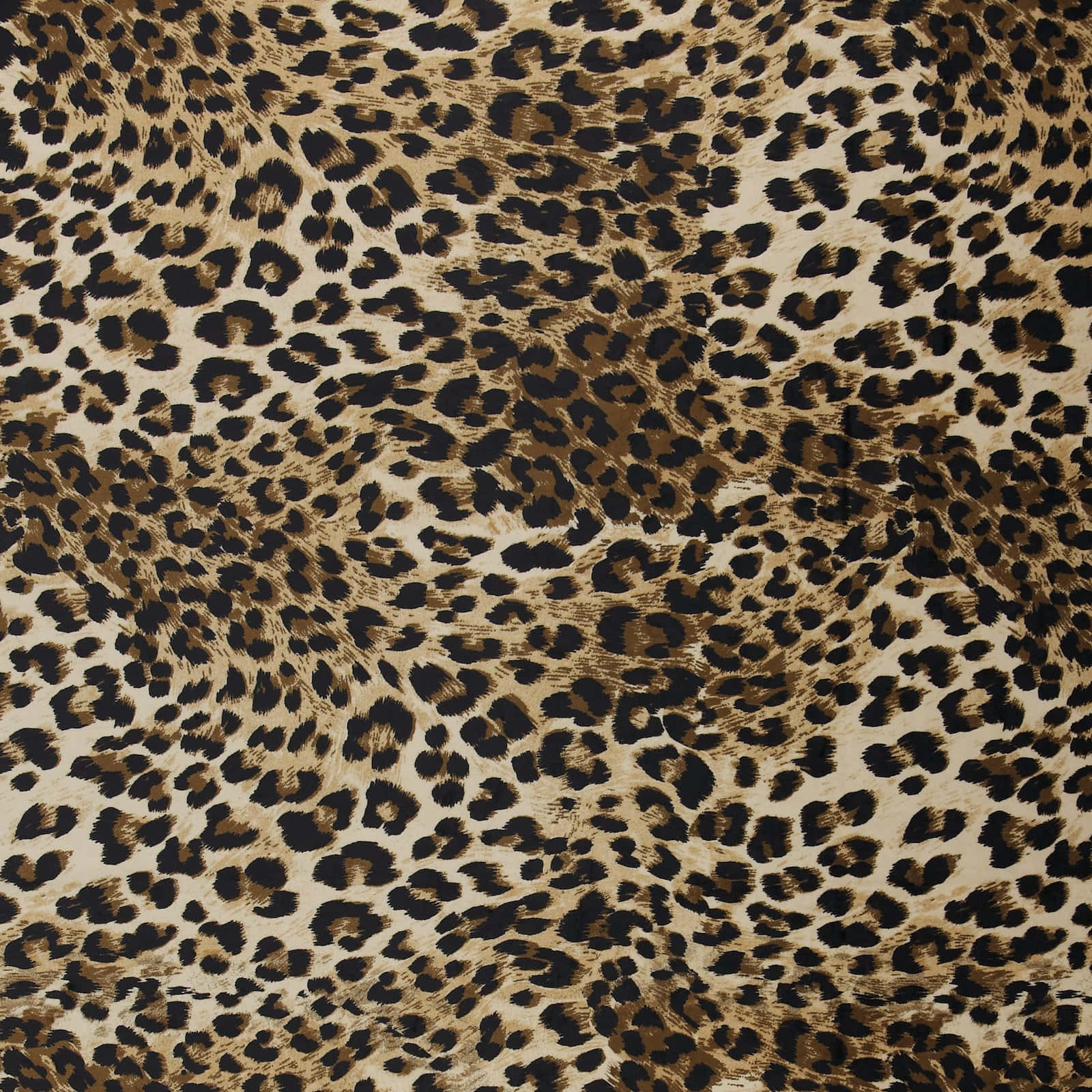 Fuzzy And Fabulous Wallpaper