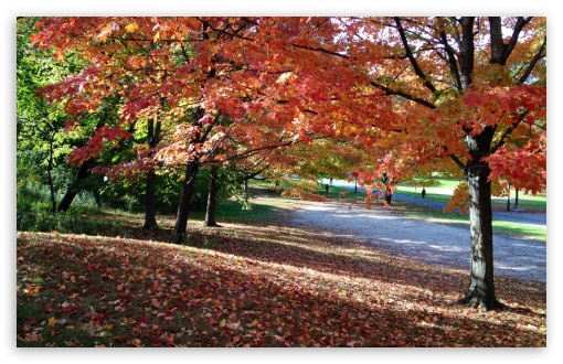 An Autumn Afternoon In Nyc HD Desktop Wallpaper Widescreen High