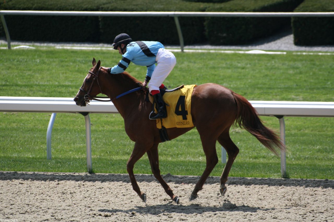 Horse Racing Pictures