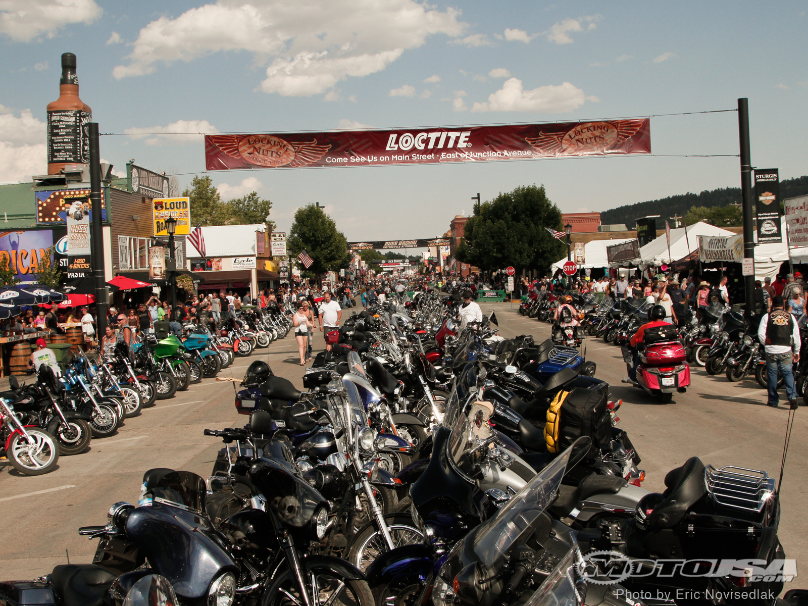 Sturgis Wallpaper Group