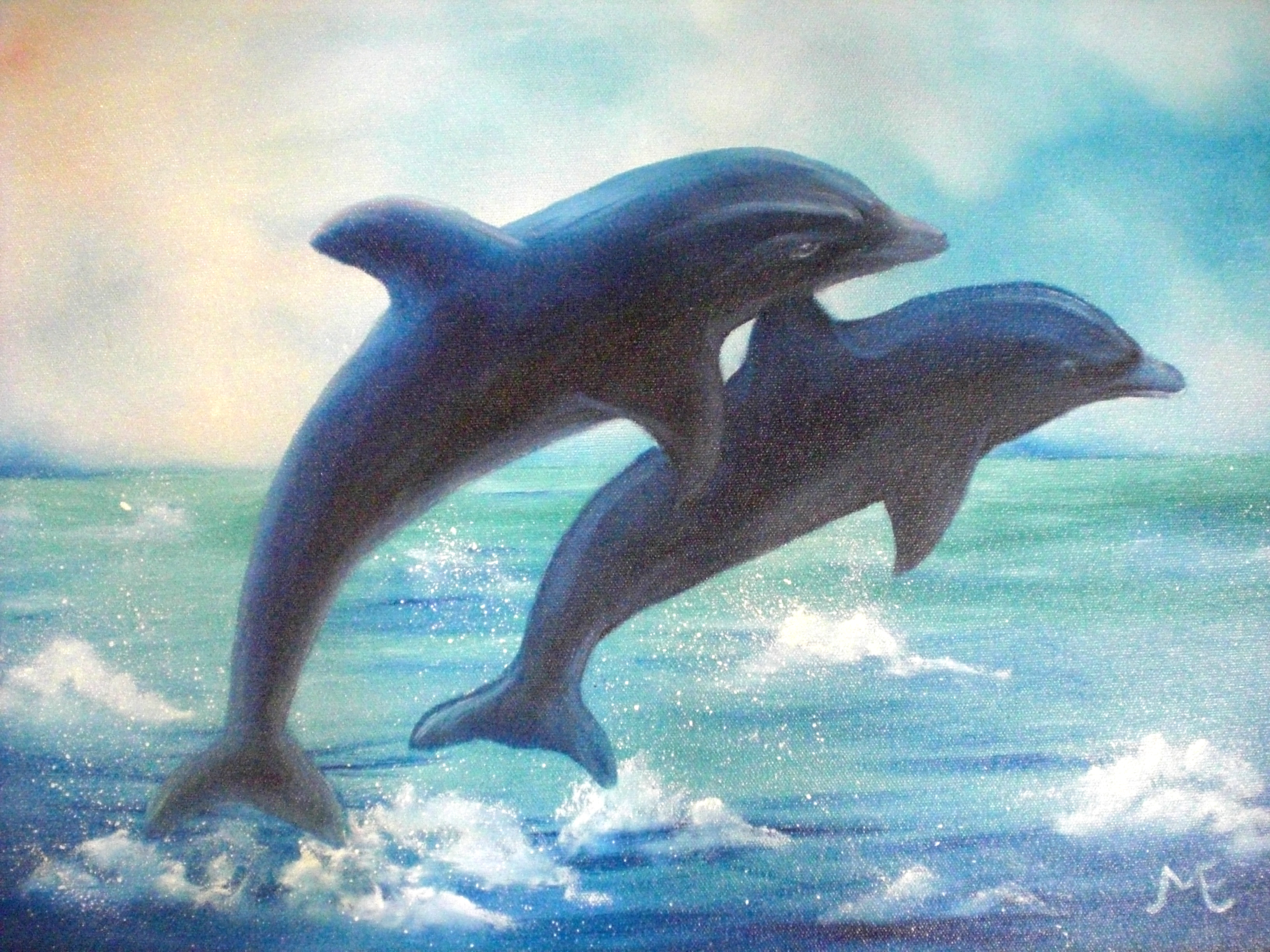 Cartoon Dolphin Background Wallpaper HD Background