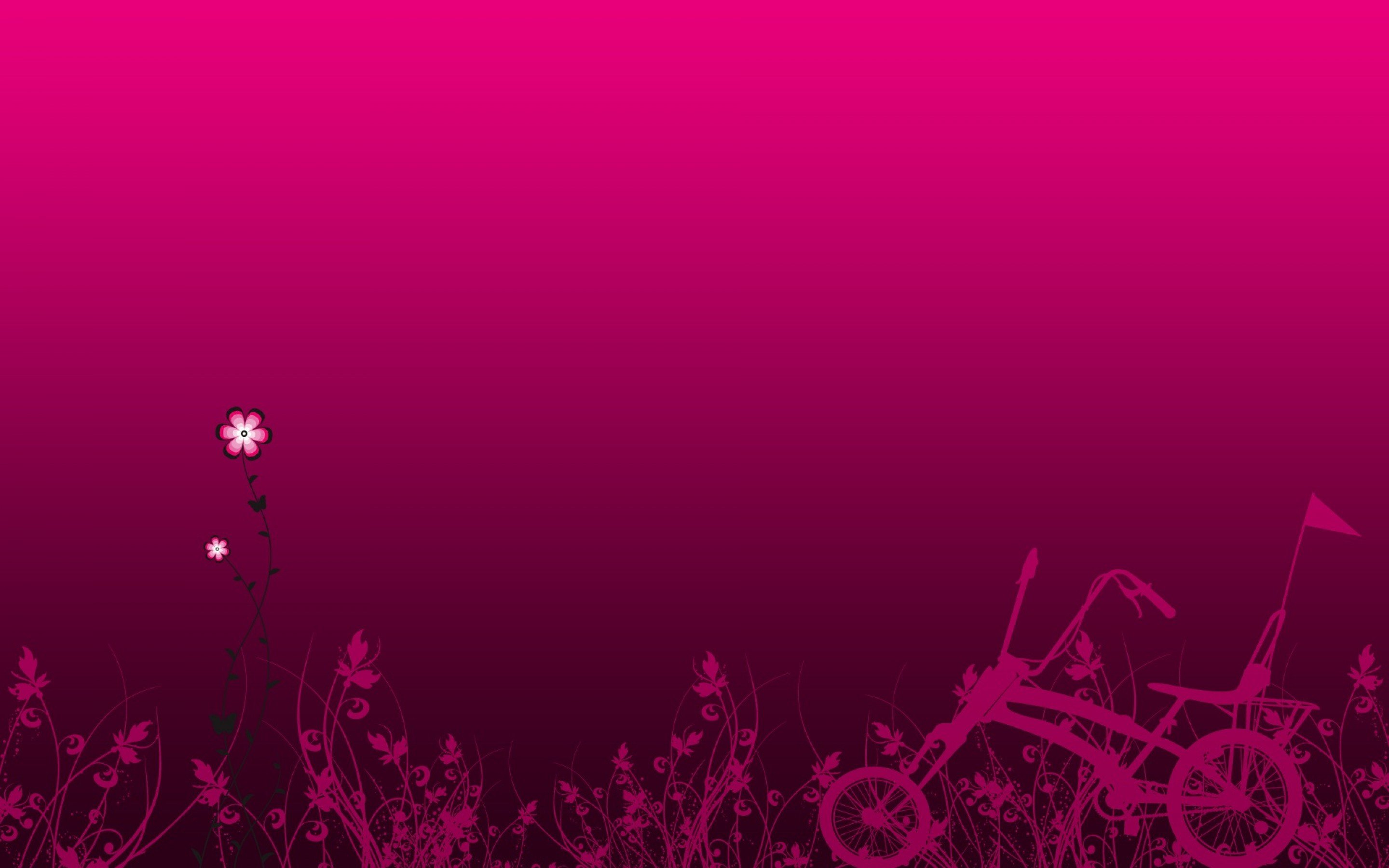 Fuchsia Wallpaper And Background Image