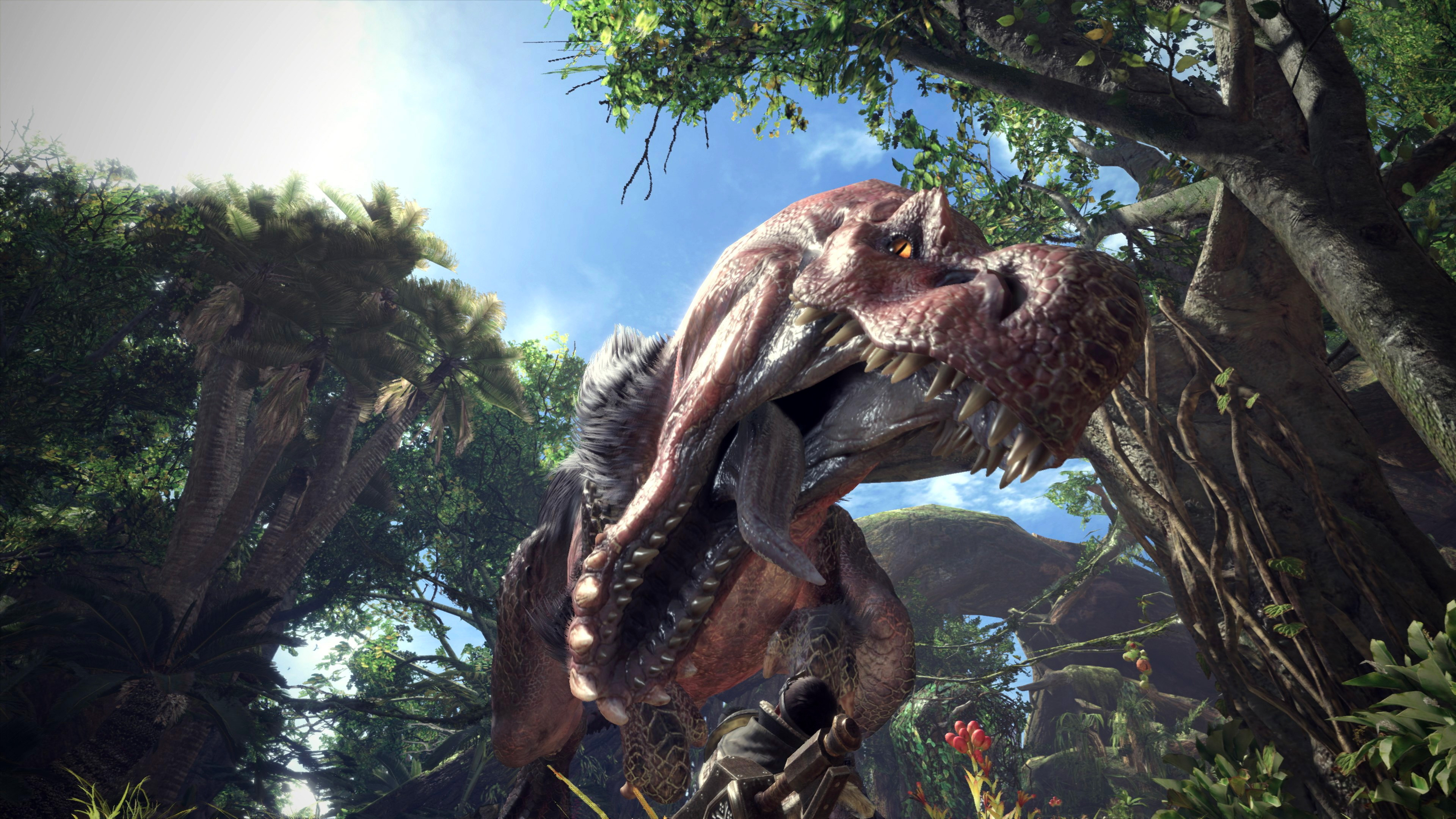 Monster Hunter Wallpaper