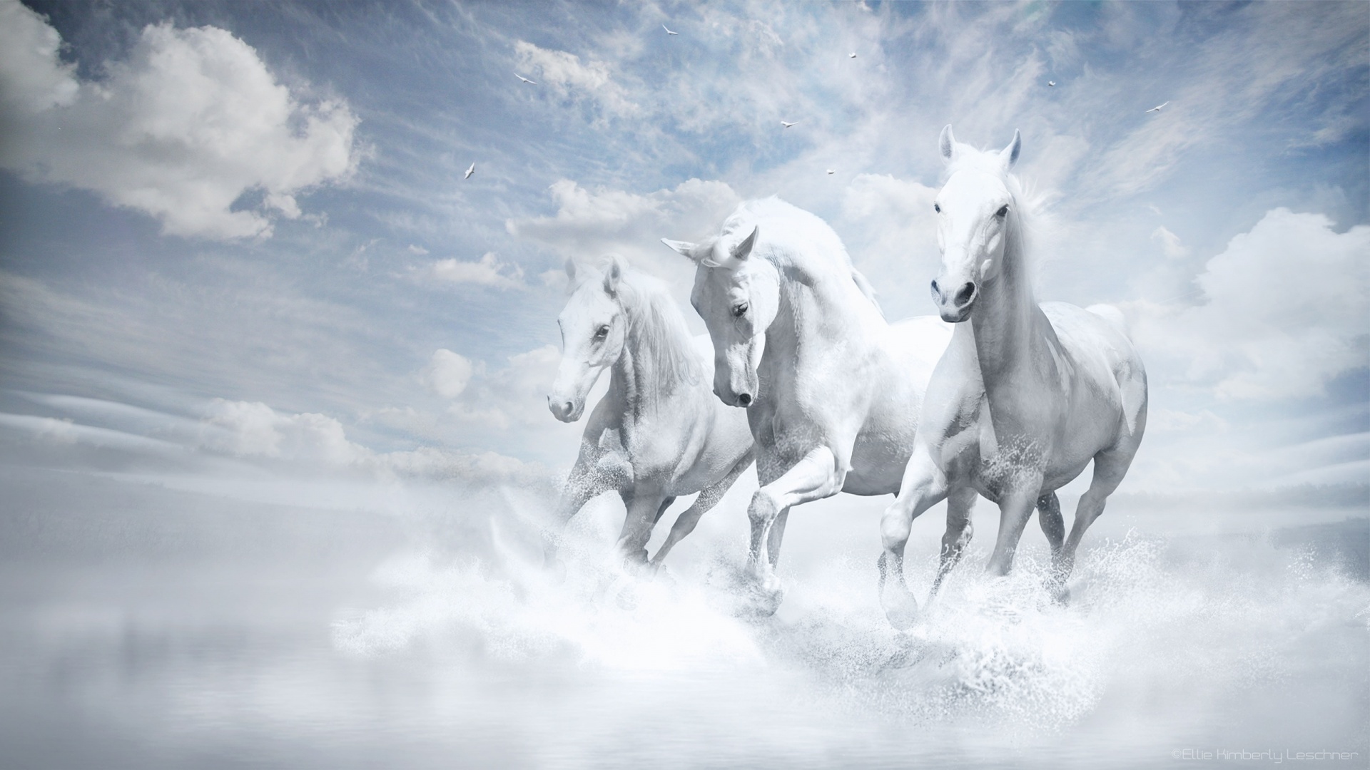 Fantasy Tags Clouds Sky Imagination White Horses How To
