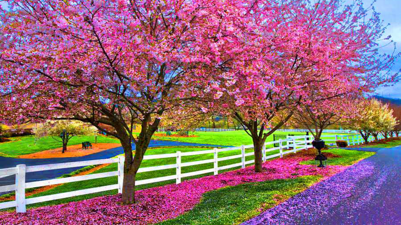 Beautiful Spring Day Puter Wallpaper Desktop Background