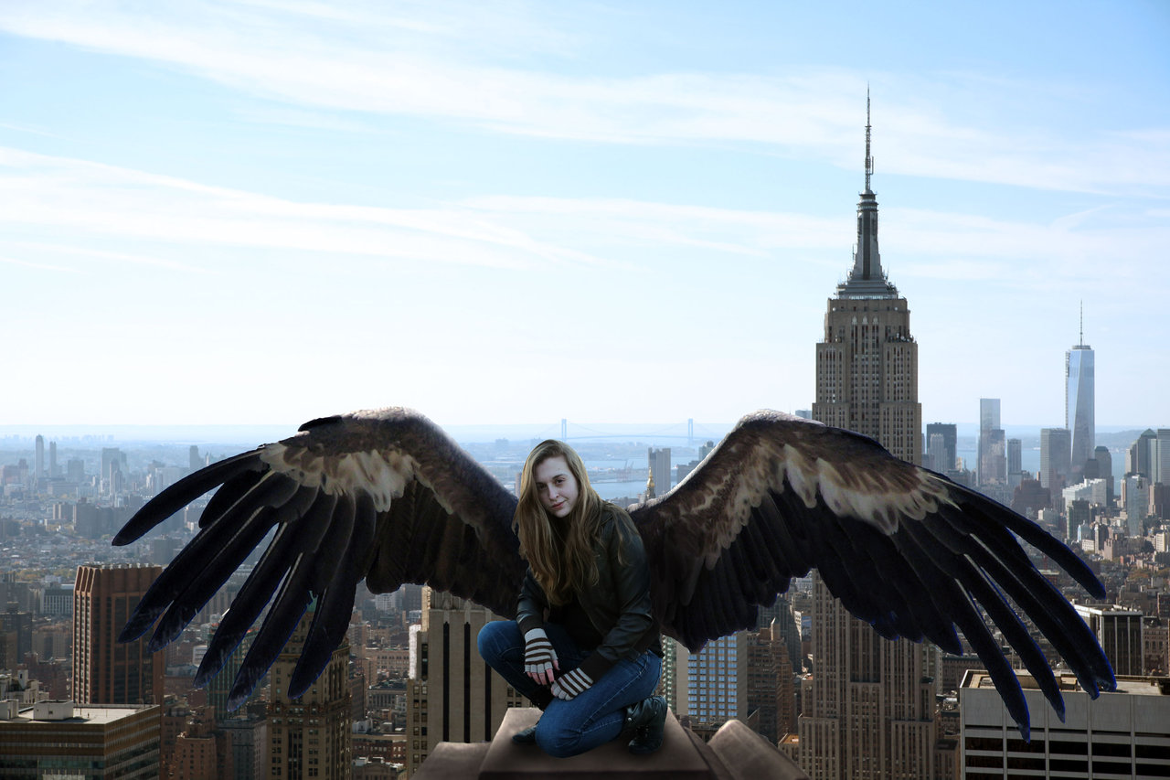 Maximum Ride Wallpaper Background Takes New York By