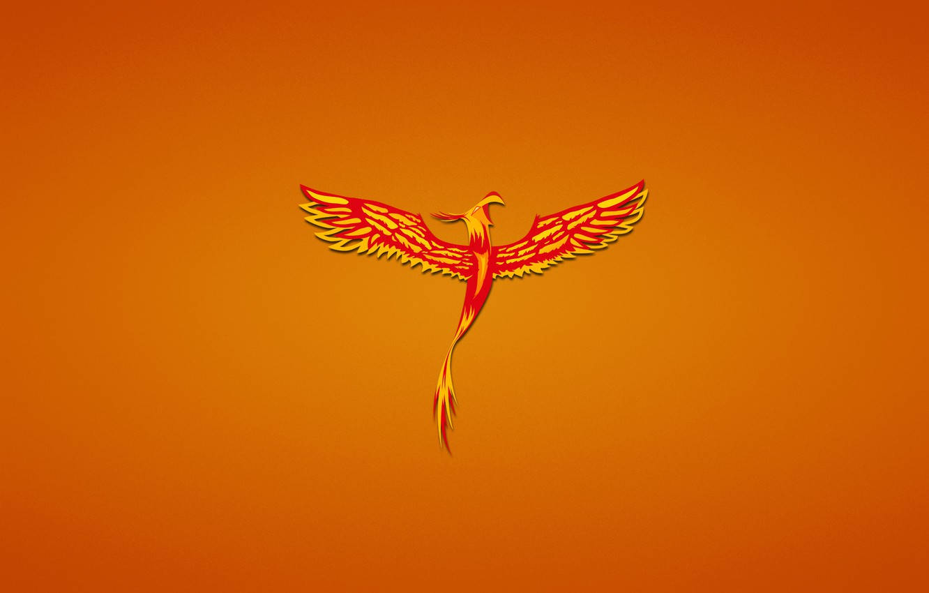 Top Fire Wings Wallpaper Full HD 4k To Use
