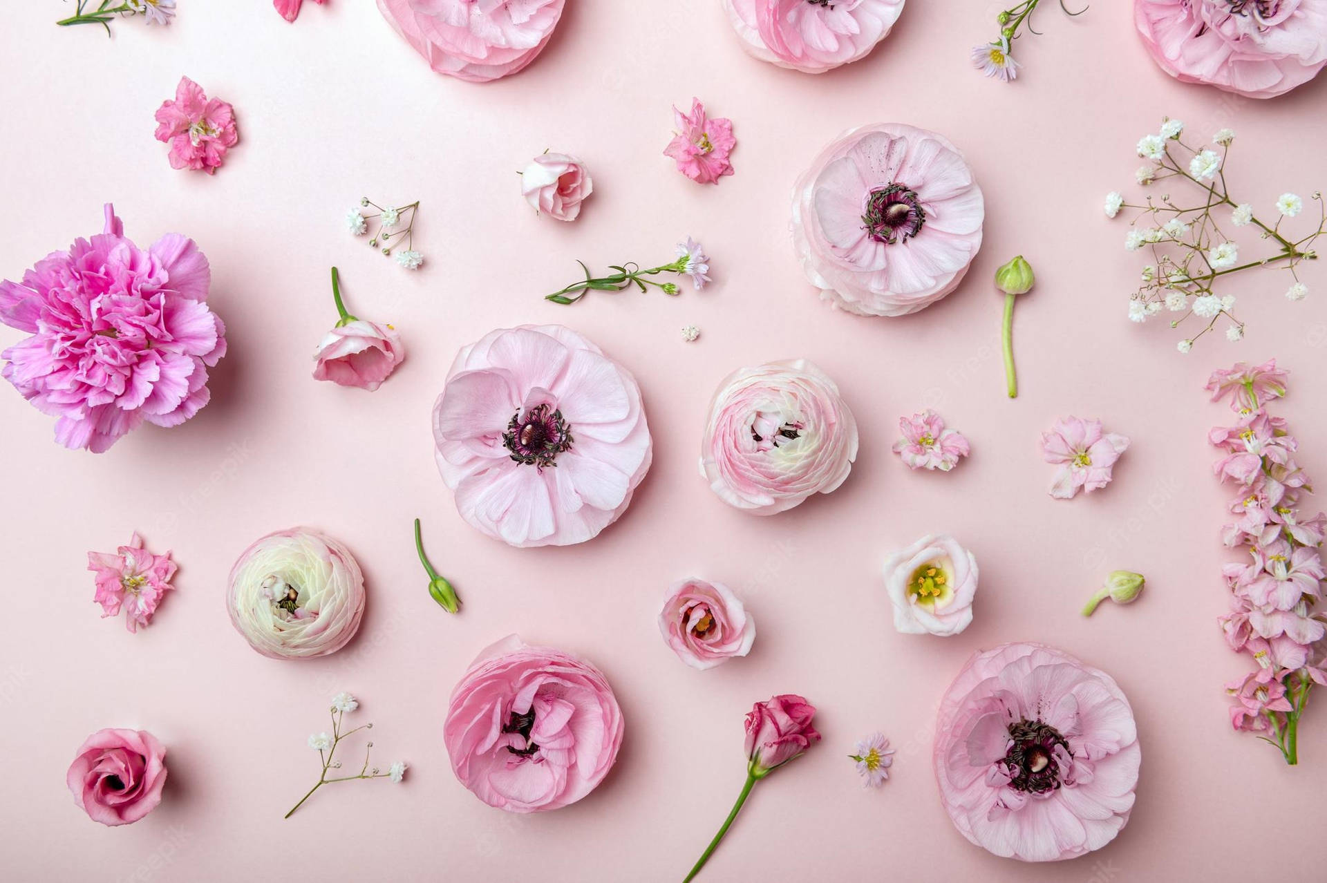 Aesthetic Spring Wallpaper