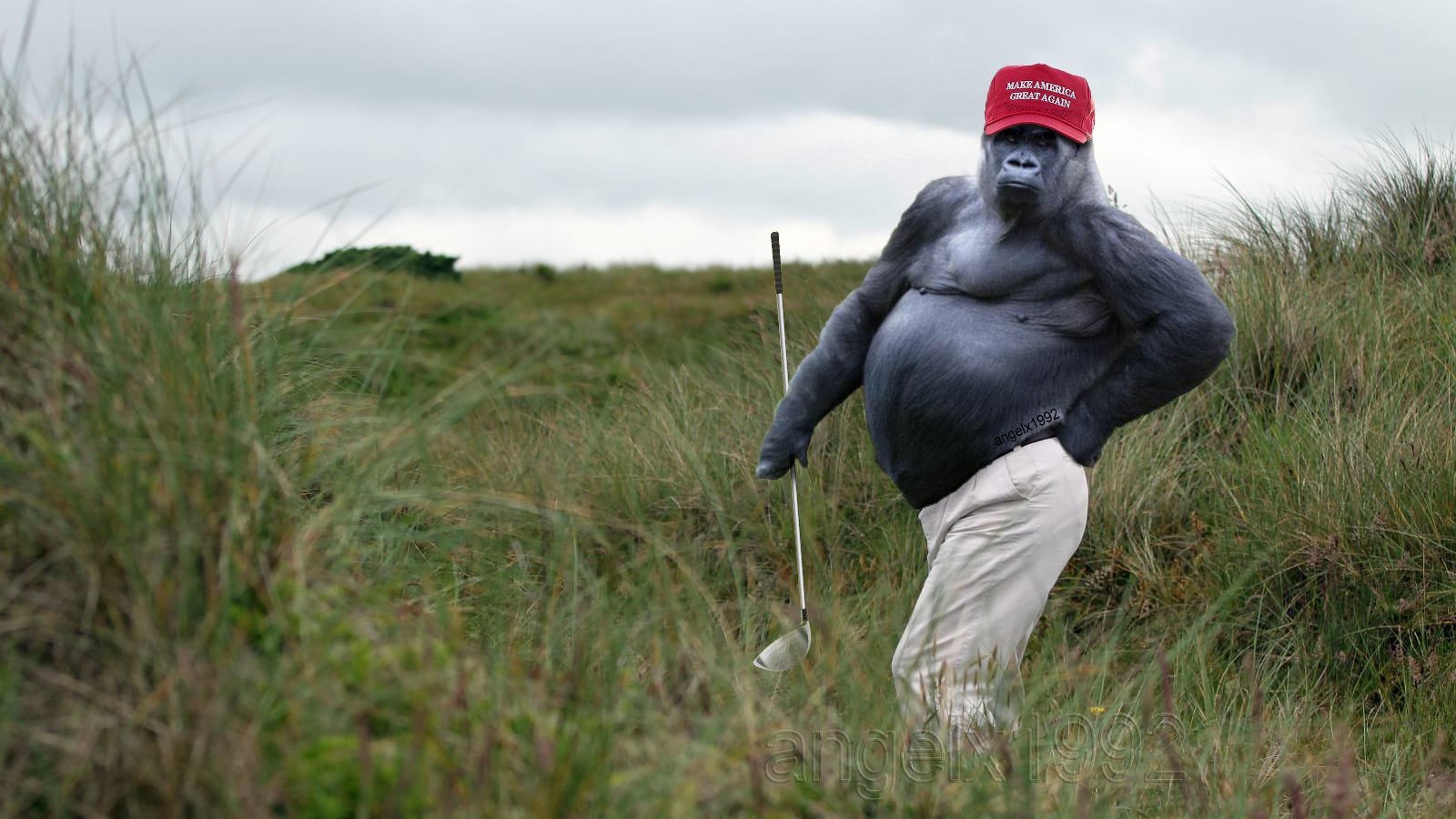 Angelx1992 On Memes Monkey Trump Magats Golf