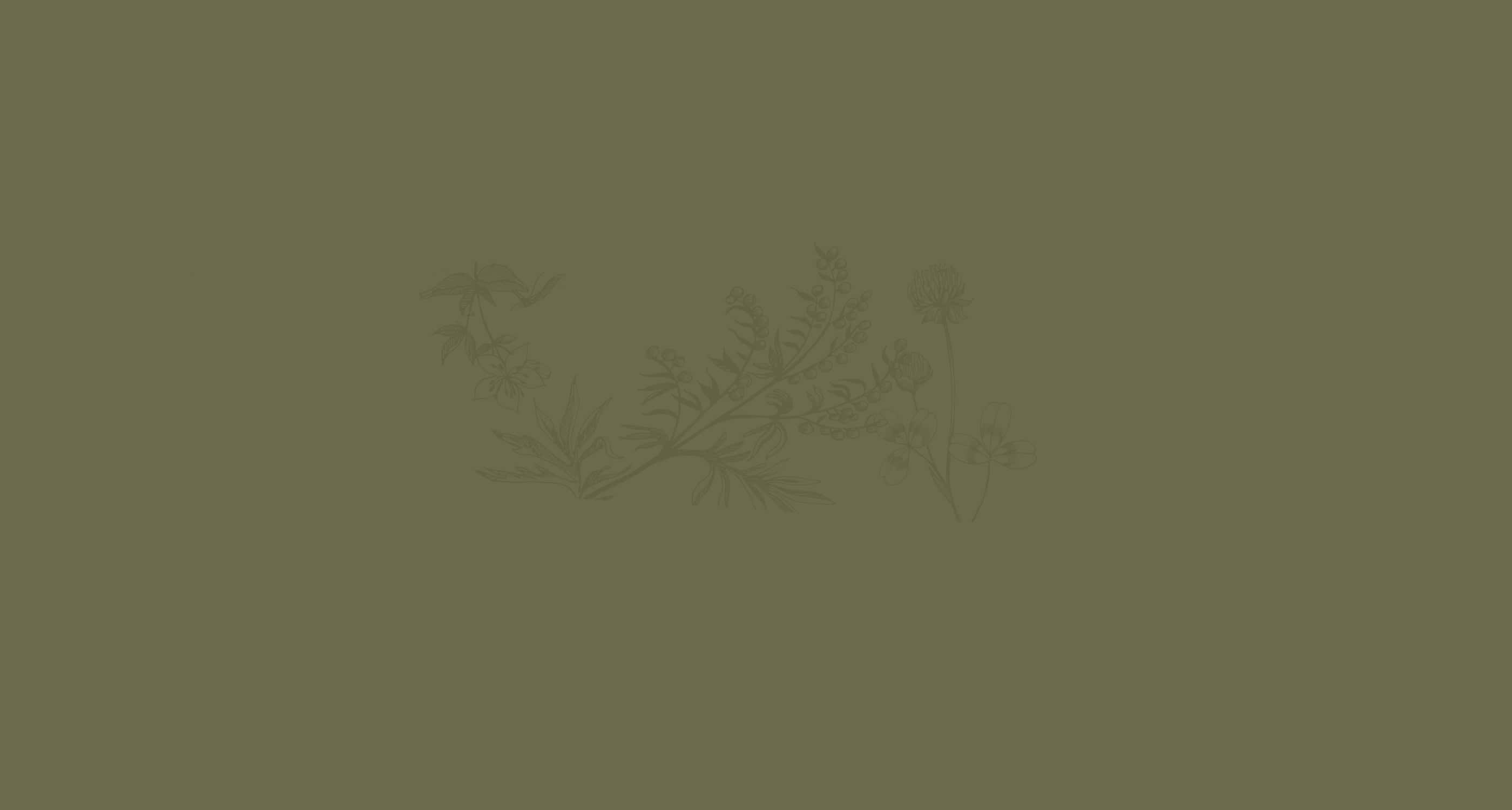 Sage Green Background Wallpaper