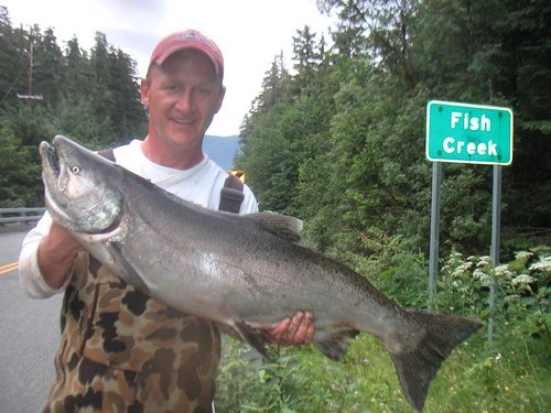 King Salmon Alaska Image Pic HD Wallpaper