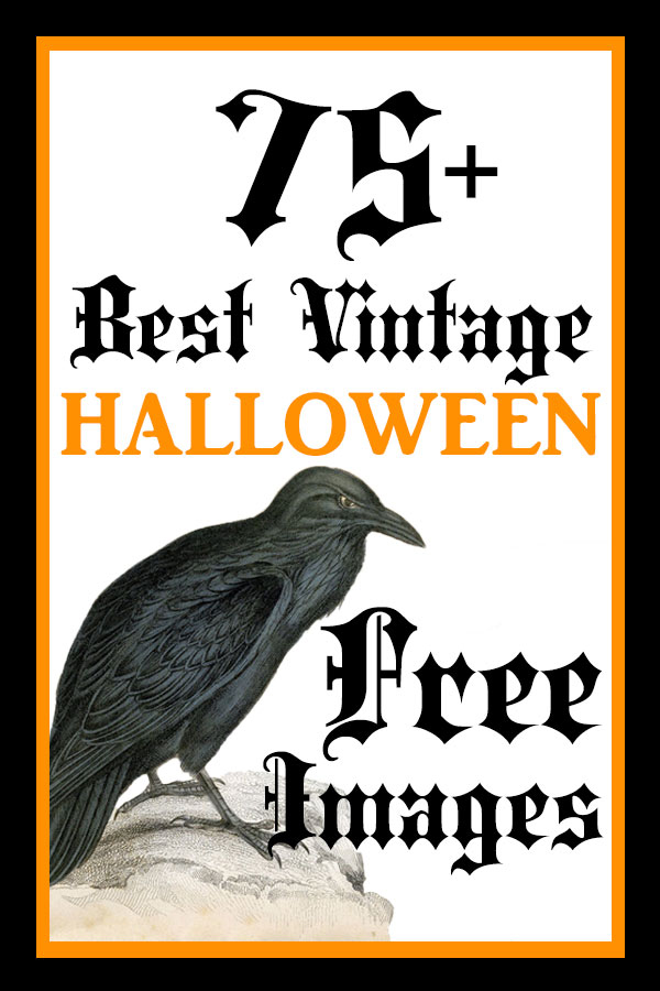 Best Vintage Halloween Image The Graphics Fairy