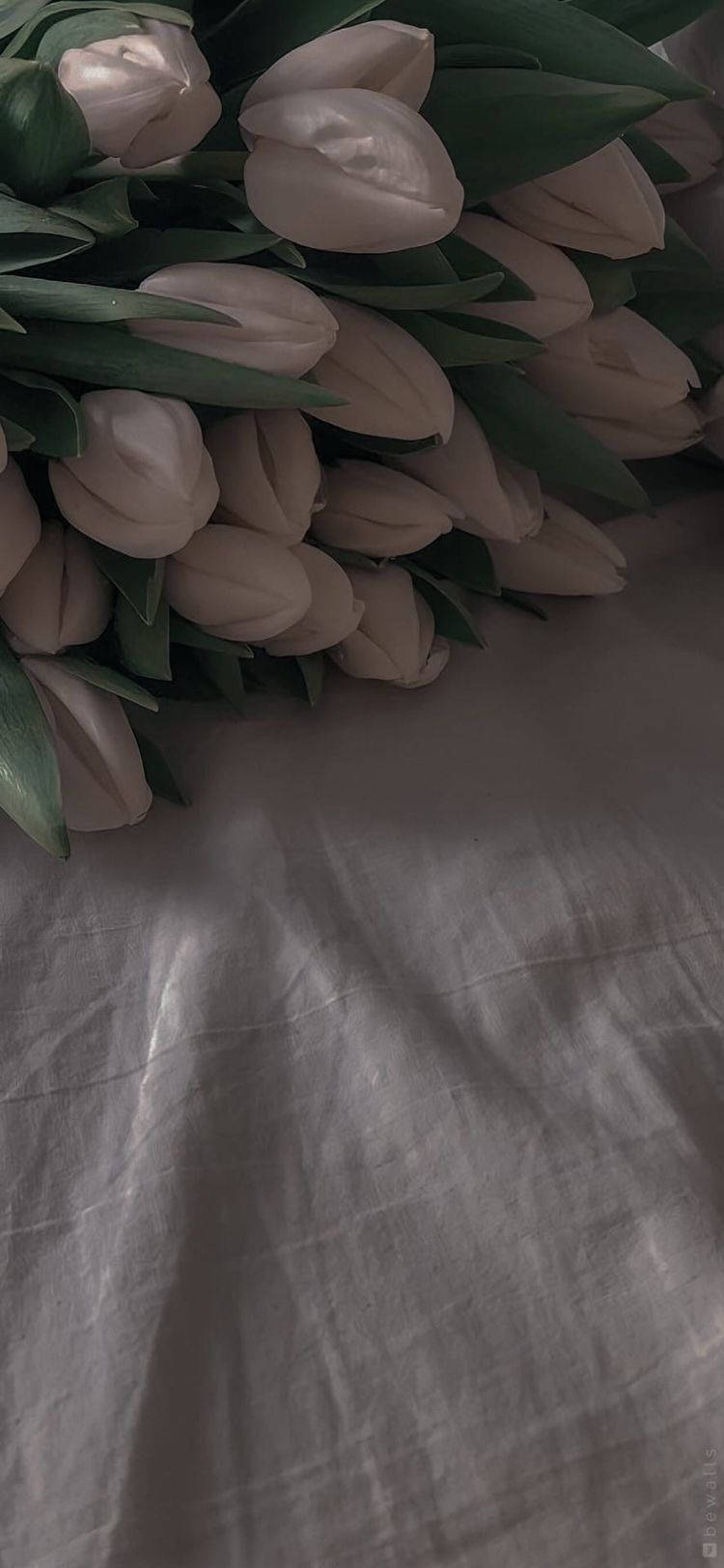 White Flower iPhone Wallpaper