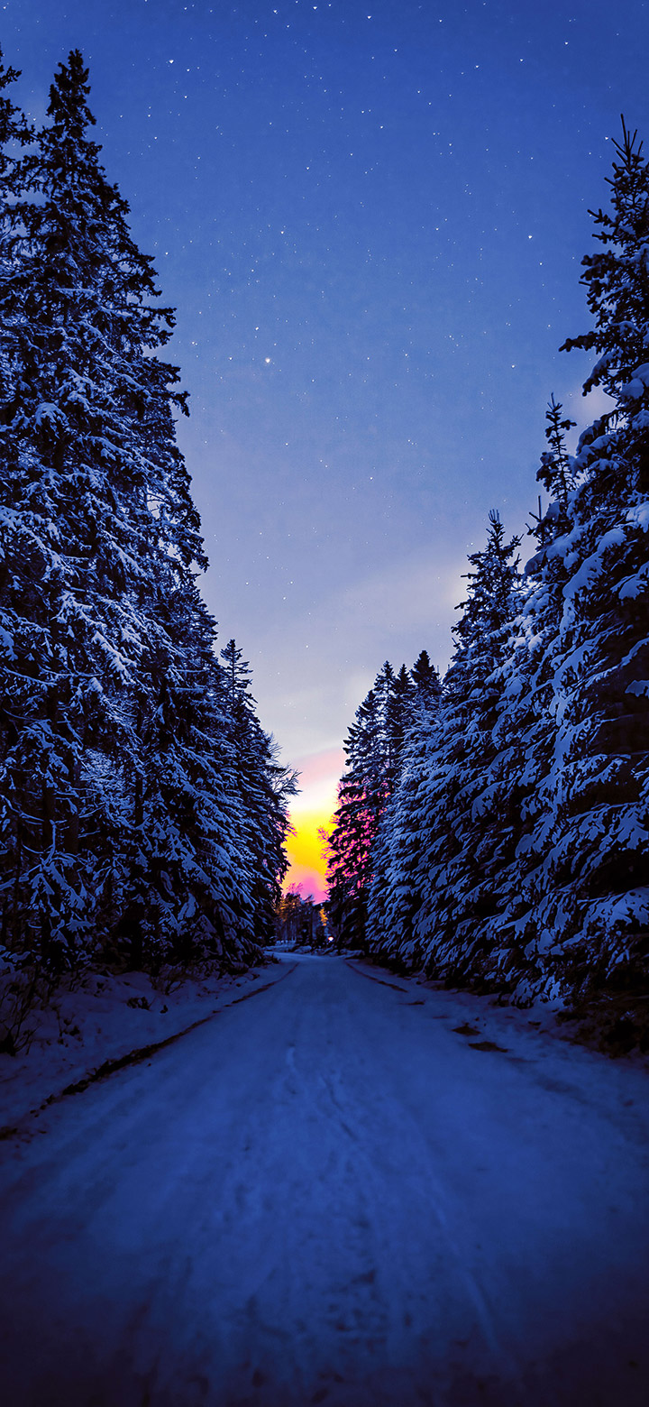 Snow iPhone Wallpaper