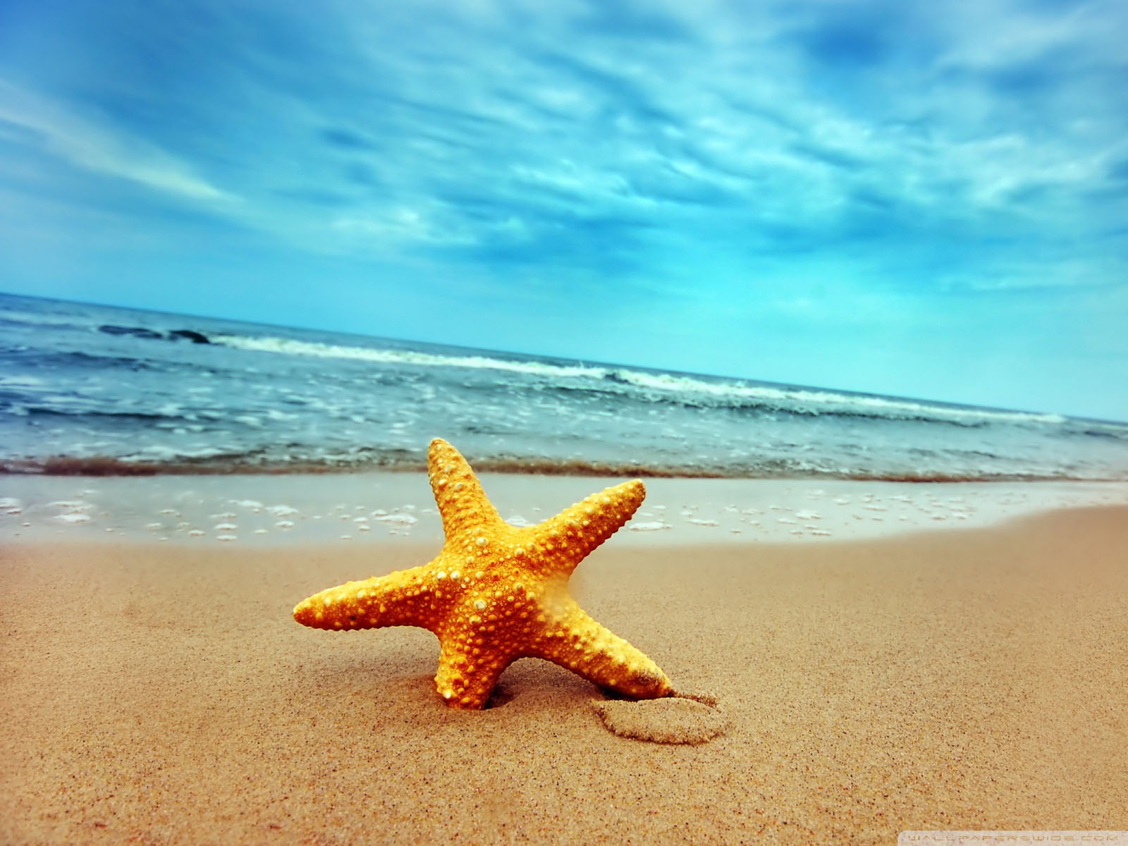 Starfish Sea Beach Sand Wallpaper All