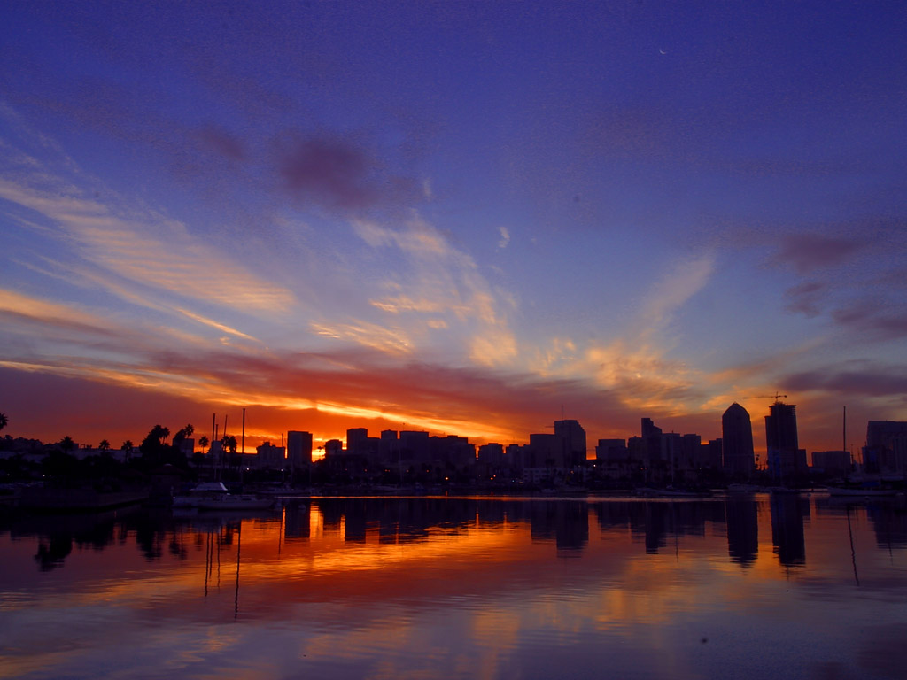 Download San Diego California Night backgrounds Wallpaper in high 1024x768