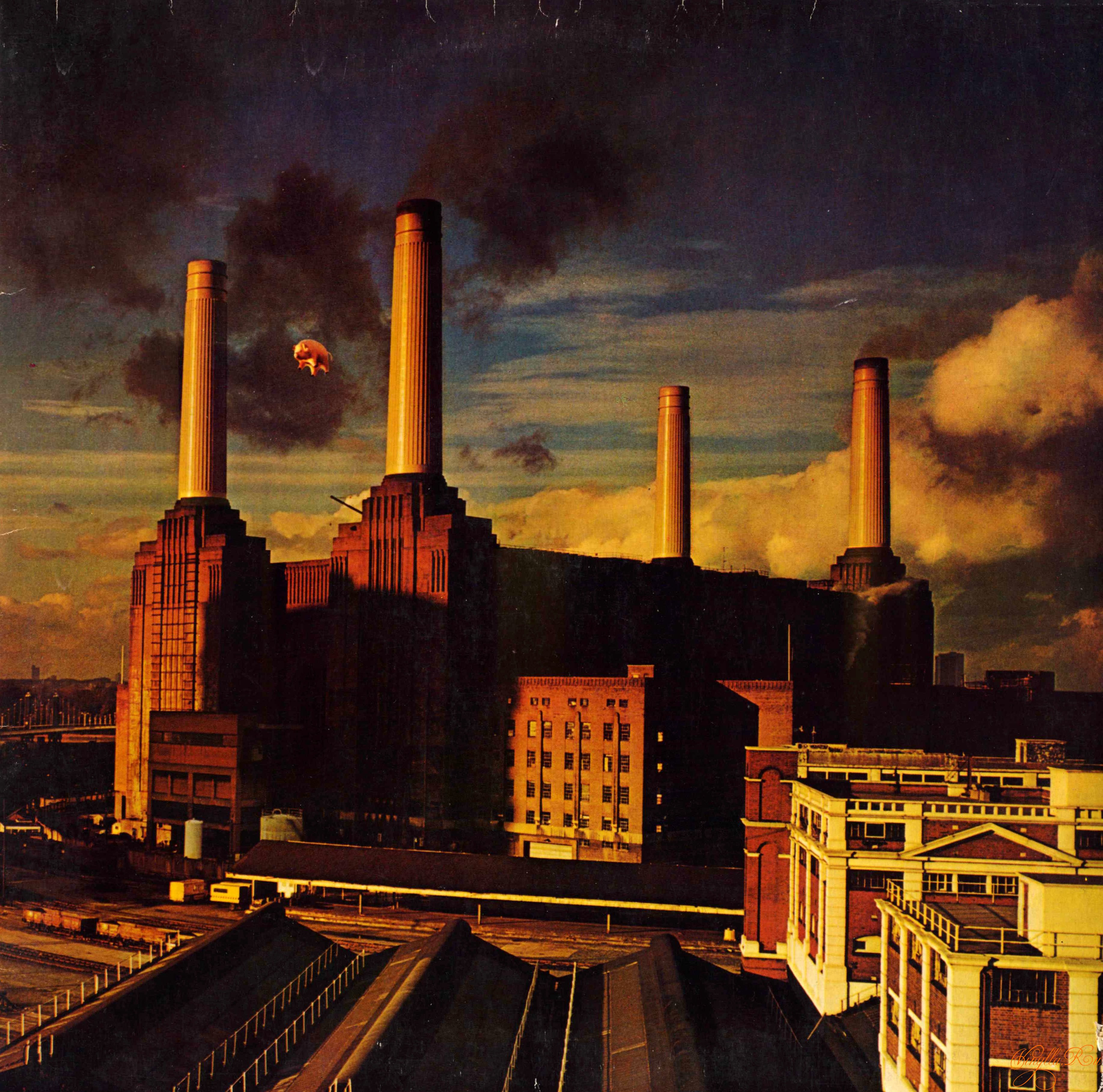 Pink Floyd Animals Wallpaper