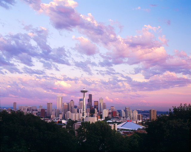 🔥 Free download Seattle Space Needle Panorama Wall Mural Self Adhesive