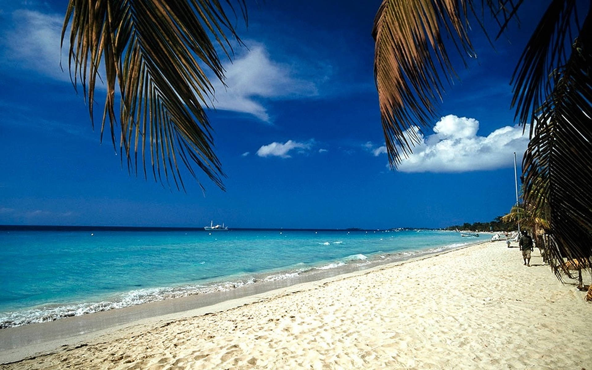 Jamaica Beach Palm Trees Wallpaper