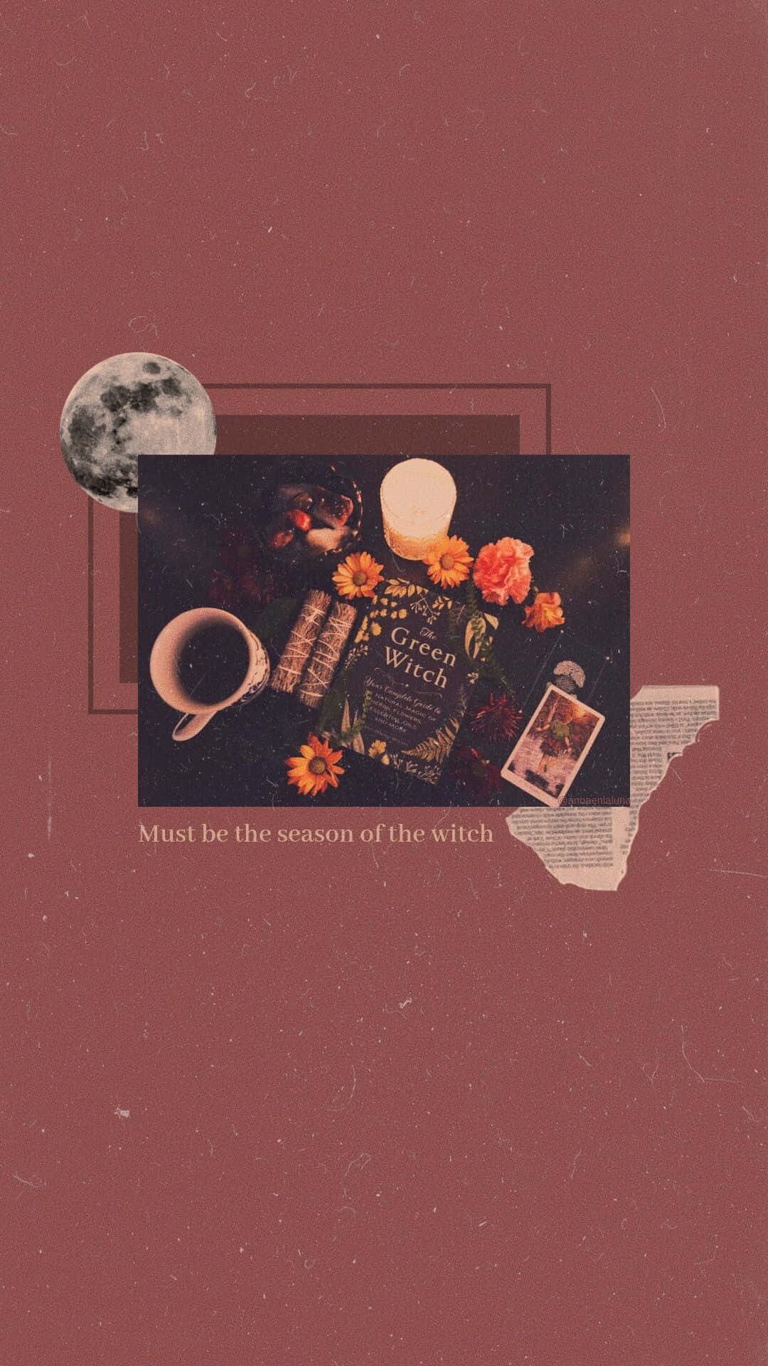 Halloween Witch Aesthetic Wallpaper