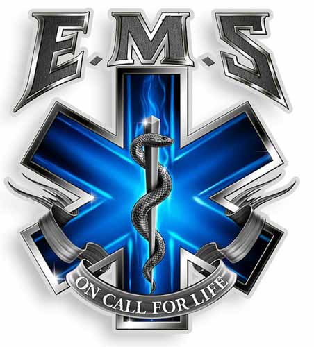 Ems Logo Wallpaper Harrysarmysurplus Ff2059 On Call For