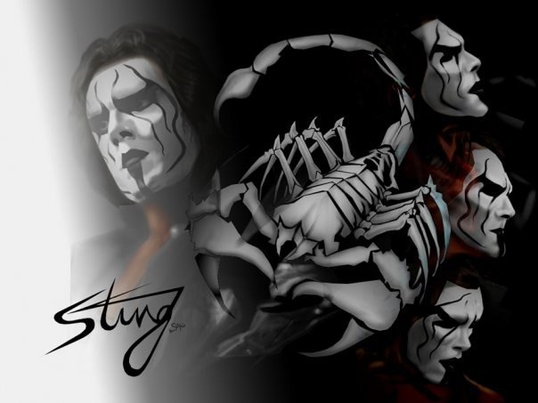 Steve Borden Vk
