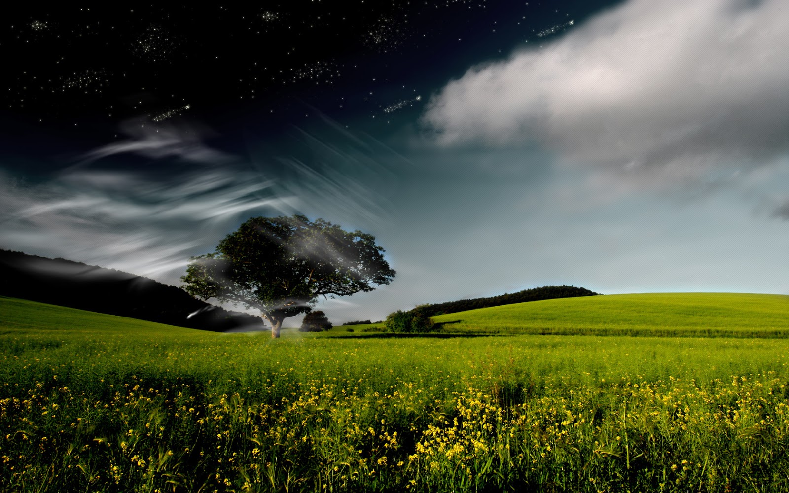 Cool HD Wallpaper Ever