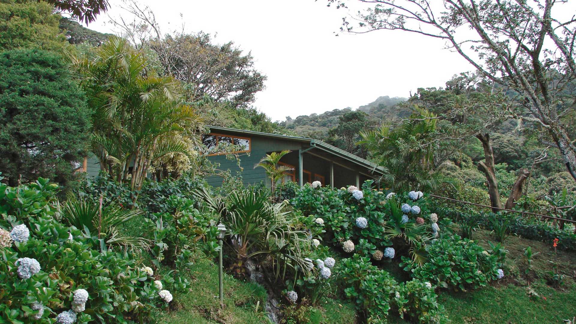 Cloud Forest Lodge Monteverde A Kuoni Hotel In La Fortuna
