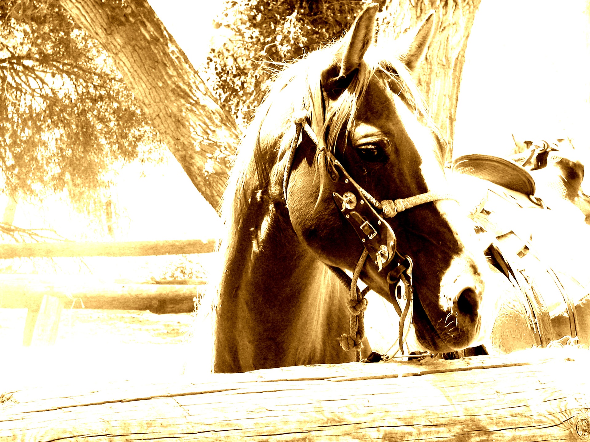 Western Computer Wallpaper High Definition