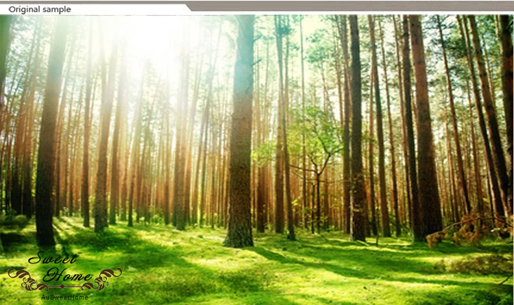 Green Forest Sunshine Full Wall Mural Wallpaper Print Decal Indoor