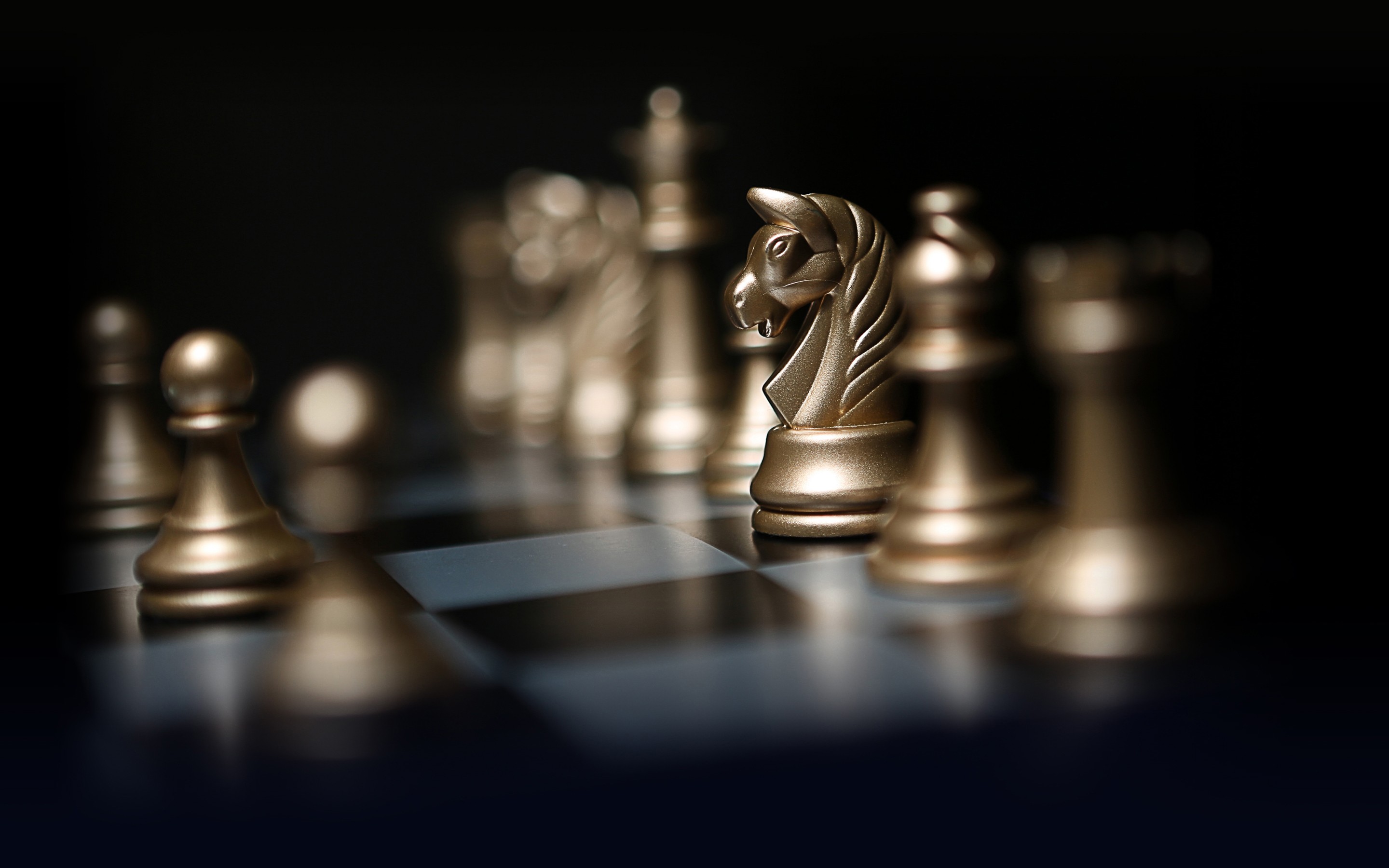 Wallpaper Chess Intellectual Games Figure Horse