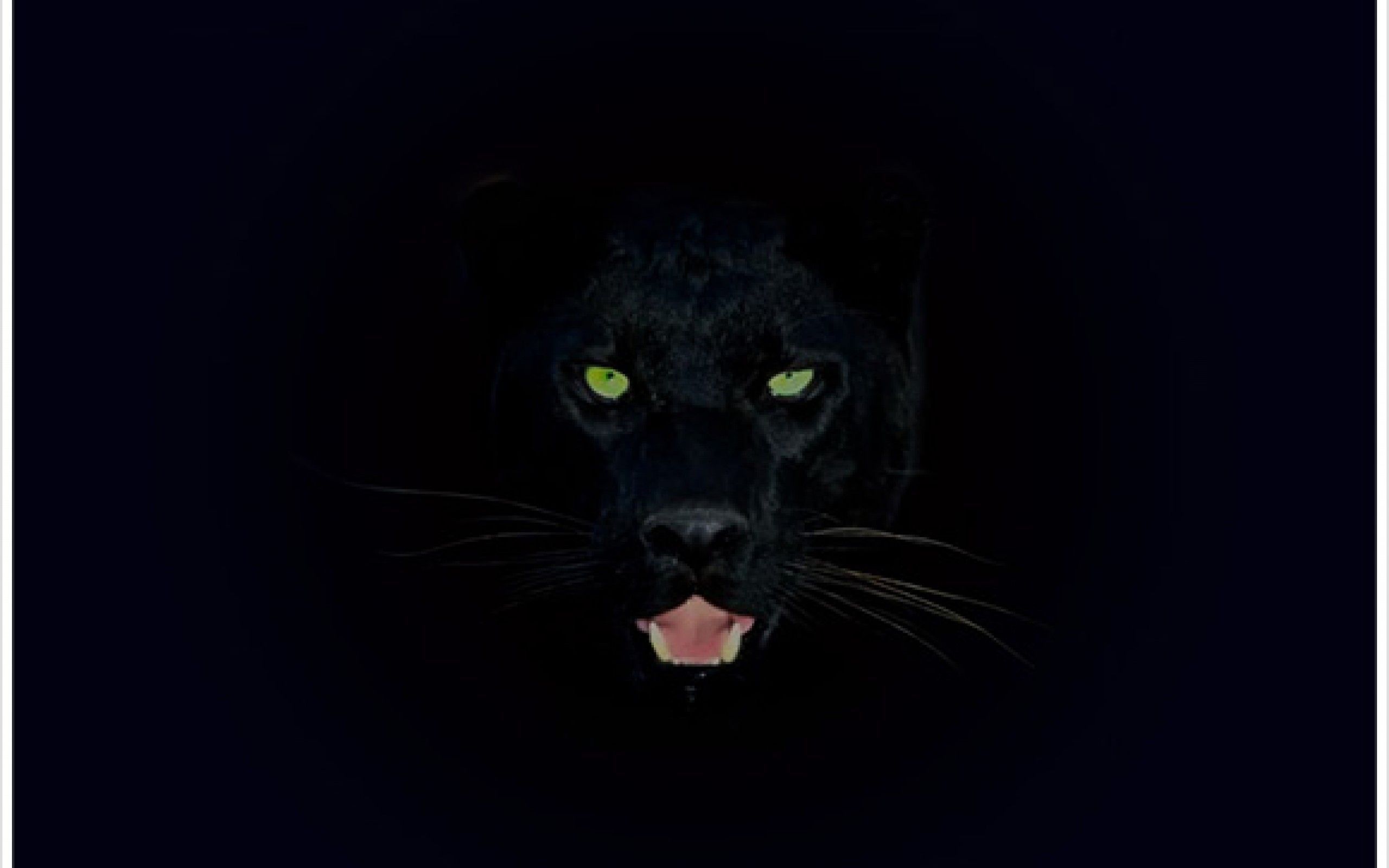 Anamalistic funfreshfierce Black jaguar animal Black panther