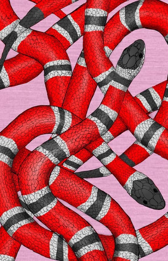 Red Snake Wallpaper Removable Gucci